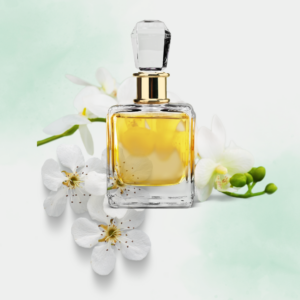 غروب العنبر